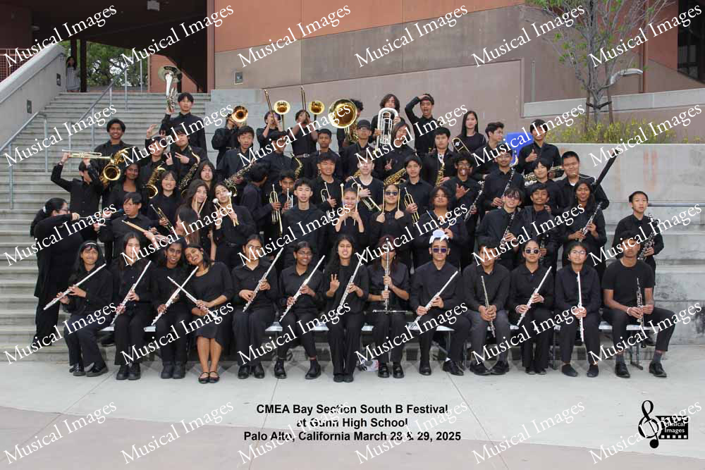 Musical Images